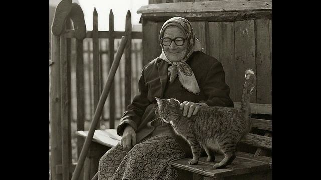 Оставить кота - авт. А.Новосёлов - В.Бутко смотреть онлайн