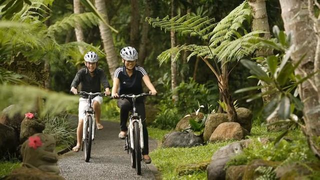 Royal Pita Maha Hotel Ubud Bali смотреть онлайн