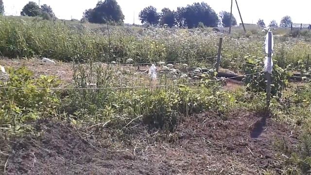 Сегодняшнее утро смотреть онлайн