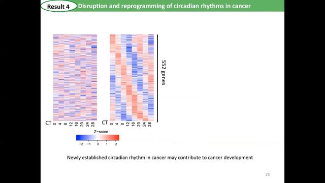 The Genomic Landscape and Pharmacogenomic Interactions of Clock Genes in Cancer Chronotherapy смотреть онлайн