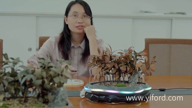 Digital RGB COB LED Strips You Never Seen Before смотреть онлайн