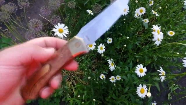 Флиппер «Forward 110» смотреть онлайн