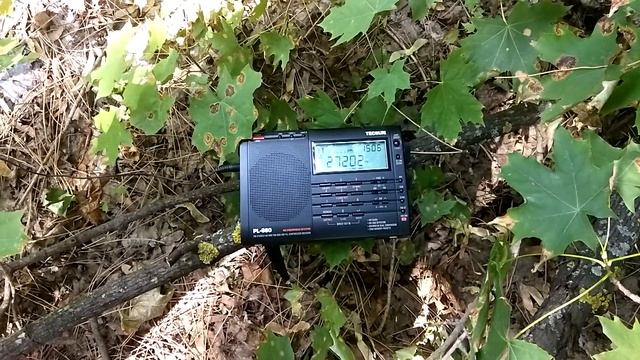 27 202 kHz AM PL 660. смотреть онлайн