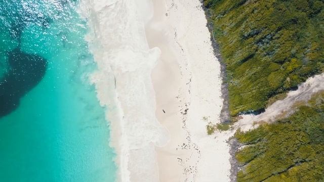 Healing Relaxation from Stress, Anxiety, and Depressive States | Heal Mind, Body and Soul смотреть онлайн
