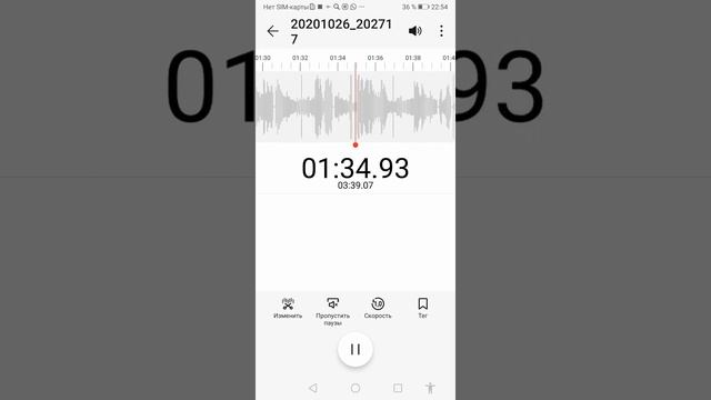 Пситеррор. Дистанционные акустические голоса псиоператоров. смотреть онлайн