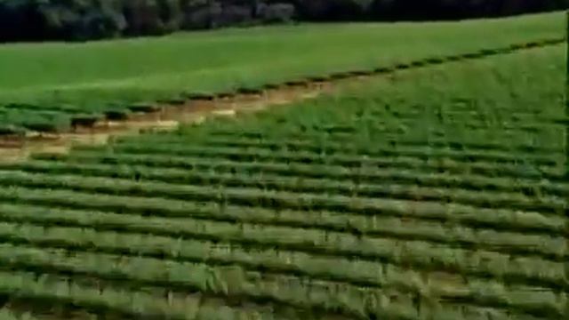 Baby Einstein Baby MacDonald A Day On The Farm Part 4 Planting The Fields смотреть онлайн