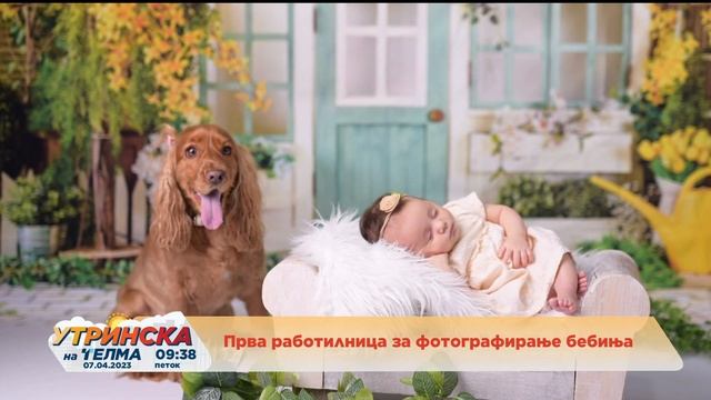 НА ЛИЦЕ МЕСТО - ПРВА РАБОТИЛНИЦА ЗА ФОТОГРАФИРАЊЕ БЕБИЊА смотреть онлайн