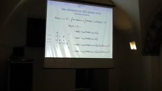 Coherent Oscillations in 2D Photon-Echo Signals of Photosynthetic Complexes - D.Egorova смотреть онлайн