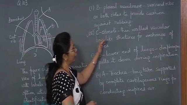 NEET-2013 Video Solution (Biology: Question 101 to 105) Code-X by Aakash Institute смотреть онлайн