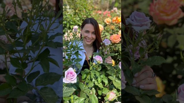 Дай место чуду🙏🏻❤️😇 смотреть онлайн