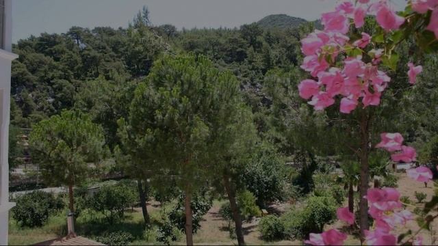 Petunya Konak Hotel, Marmaris, Turkey