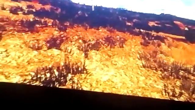 Red dead laso смотреть онлайн