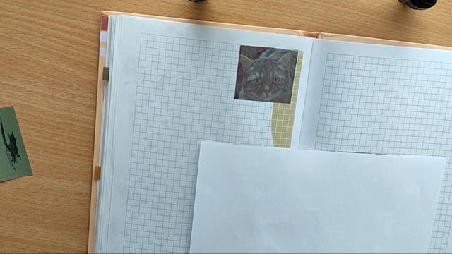 Что можно написать в личном дневнике/оформление разворота с котами смотреть онлайн