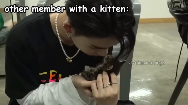 enhypen is the funniest group i found смотреть онлайн