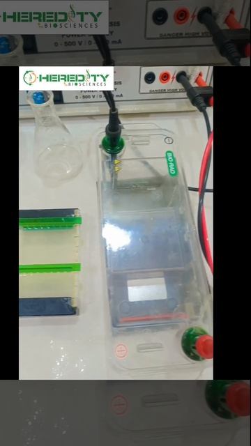 Molecular Biology Experiment #microbiology смотреть онлайн