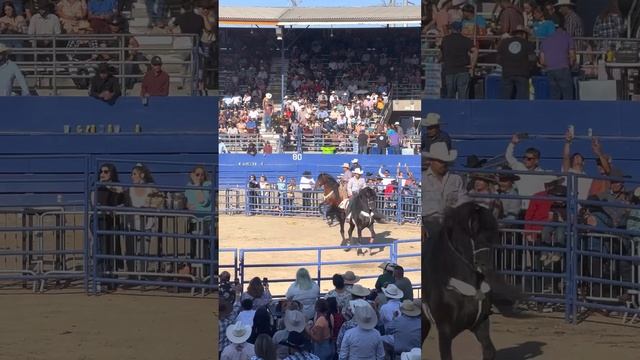 ♥️ Pico Rivera Sport Arena ♥️ смотреть онлайн