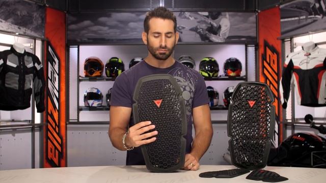 Dainese Pro-Armor Back Protectors Review At RevZilla.com