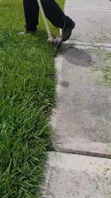 🌿Professional Green Area Maintenance and Natural Grass Pruning Tips for Picture-Perfect Landscapes смотреть онлайн