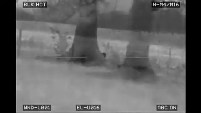 65 hogs down with the best thermal scope youve never heard of lwts قتل الخنازير بالمنظار الحراري смотреть онлайн