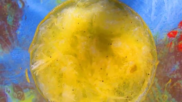 Кисло сладкий соус Сыроедческий смотреть онлайн