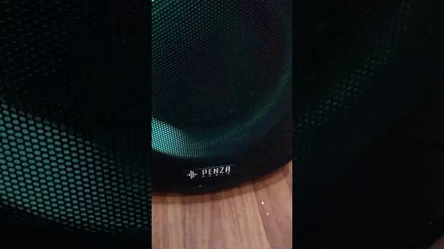 Penza Audio PZ2081 Party Speaker Call 8319446827 Order Now @shrikantaudio3927 смотреть онлайн