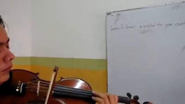 prueba a violin gliga gama mod. guarneri 2009. смотреть онлайн
