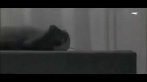 медицинский эксперимент над обезьяной