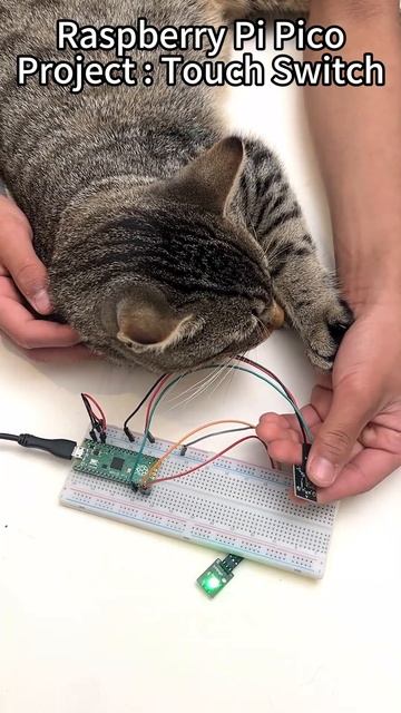 Raspberry pi pico project touch switch#coding смотреть онлайн