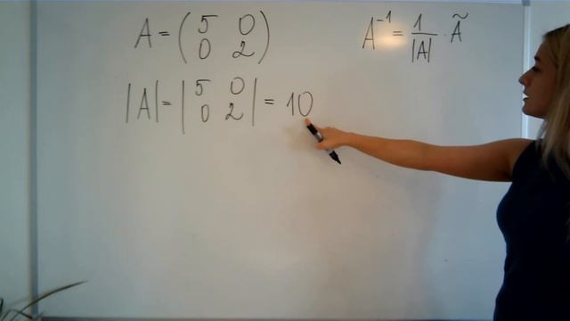 PROCVIČENÍ_ Výpočet INVERZNÍ MATICE pomocí ADJUNGOVANÉ MATICE смотреть онлайн