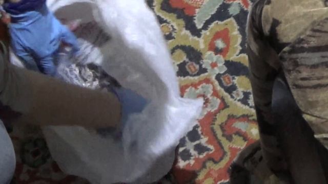 обыск в квартире 1 смотреть онлайн