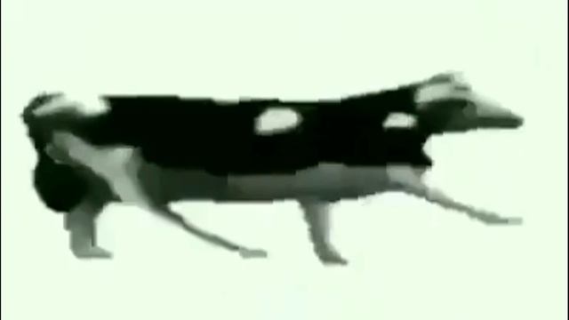 Корова 🐄 танцует под финскую музыку смотреть онлайн