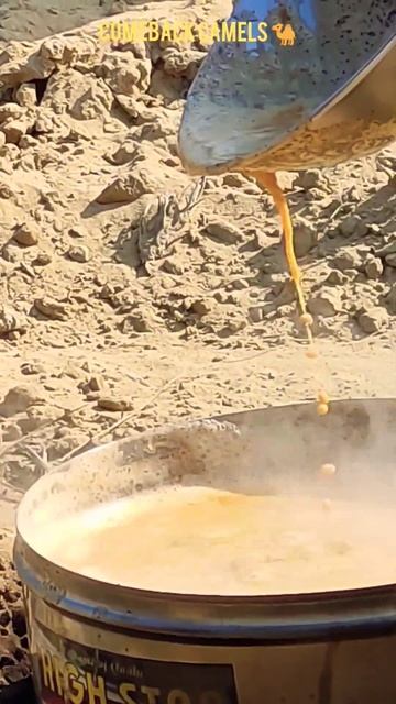 Camel's milk Tea process ☕ #camels #wildlife #الجمال #views_viral #animals #ytshorts #youtubeshorts смотреть онлайн