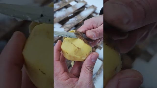 21 декабря 2021 г. смотреть онлайн
