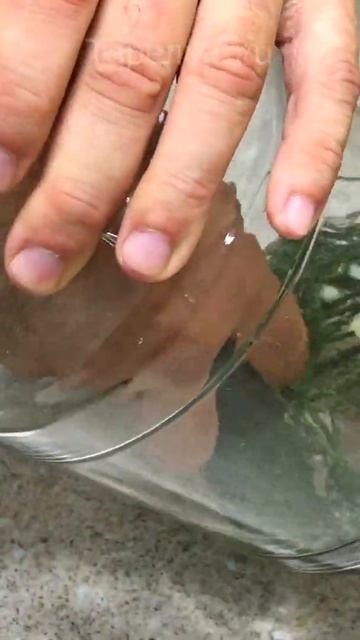 ДОБАВЛЯЮ ХЛЕБ В ОГУРЦЫ И ЧЕРЕЗ 3 ДНЯ БОЧКОВЫЕ ОГУРЦЫ НА СТОЛЕ. СОЛЕНЫЕ ОГУРЦЫ. Простой рецепт смотреть онлайн