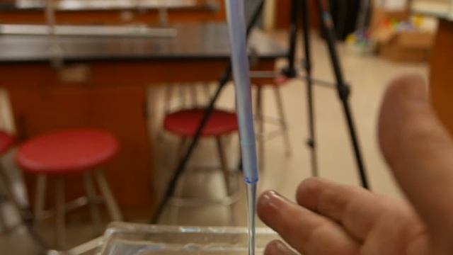 Water Demonstrations Part One --. Siphons // Homemade Science with Bruce Yeany смотреть онлайн