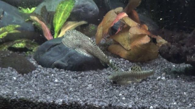 бефортия 20110128122728.m2ts смотреть онлайн