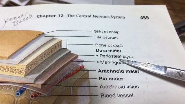 CNS The Brain Part 2 смотреть онлайн