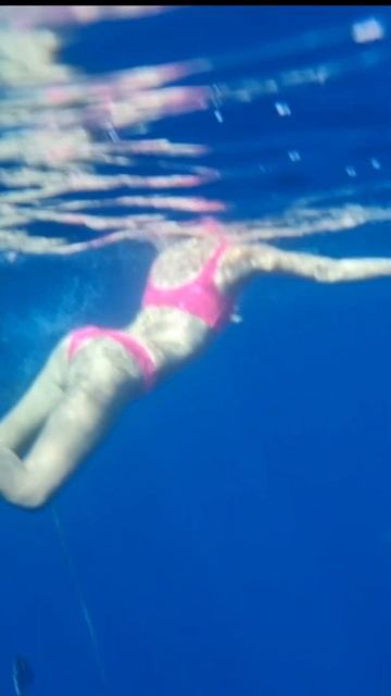 Красное море под водой #египет #отдыхвегипте #шарм #dematravel #красноеморе смотреть онлайн