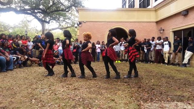 Delta Sigma Theta-Iota Theta Chapter-College Reunion 2014-Stroll Off смотреть онлайн
