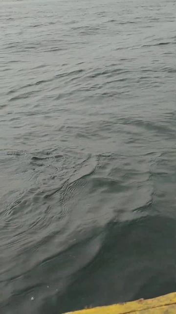 boating time 🎁 смотреть онлайн