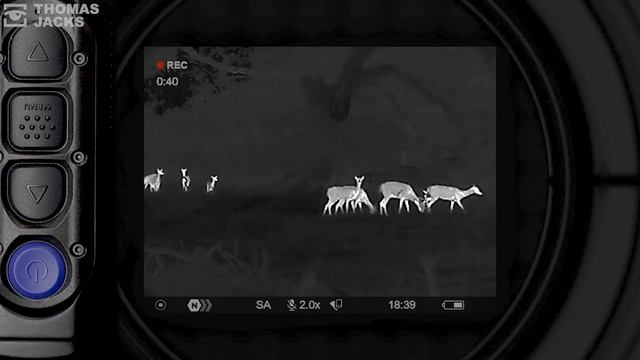 Pulsar one minute guide: Why does my thermal image freeze? смотреть онлайн