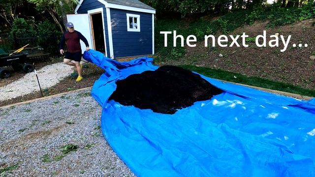 Compost in my Lawn is my Secret Weapon!!! смотреть онлайн