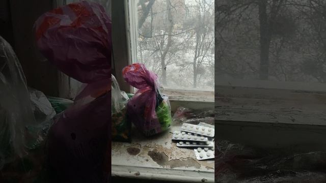 Куча колес из драги, прошло пол зимы, чай с лимоном, влог смотреть онлайн
