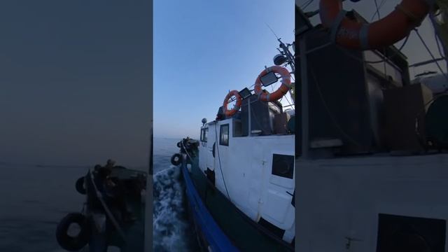 Рыбалка 2019 кальмар смотреть онлайн