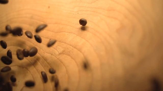 Caffè Bonini смотреть онлайн
