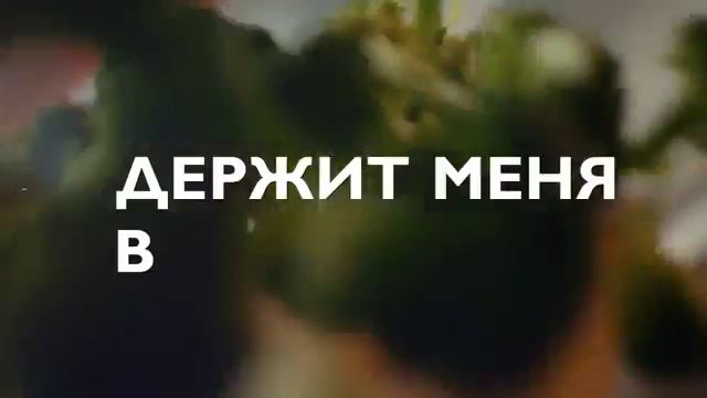 Wellness представляет батончики Нэчурал Баланс смотреть онлайн