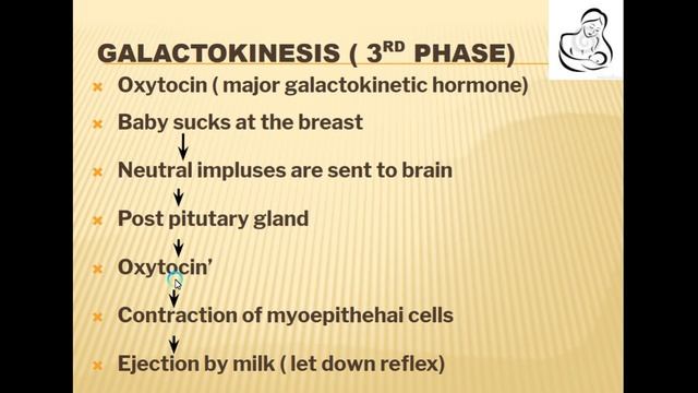 Anatomy of Breastfeeding Nursing lesson for Pediatric students by Dr. Daisy Abraham смотреть онлайн
