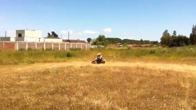 Ktm 50 sx mini смотреть онлайн