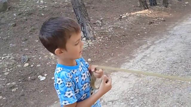 Как гулять с собакой ребёнку? Часть 1 смотреть онлайн