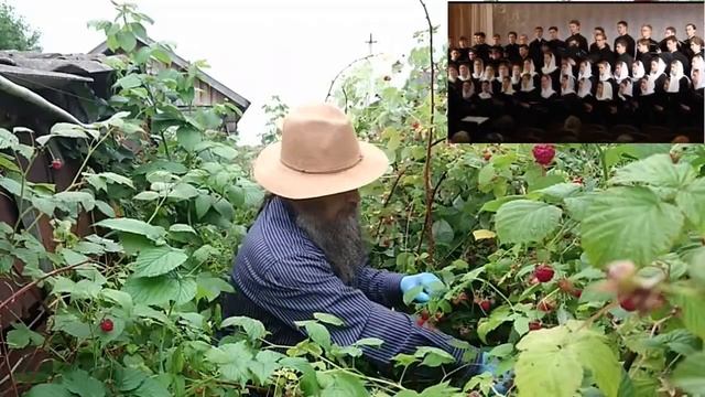 Соня благодарит вас за помощь смотреть онлайн